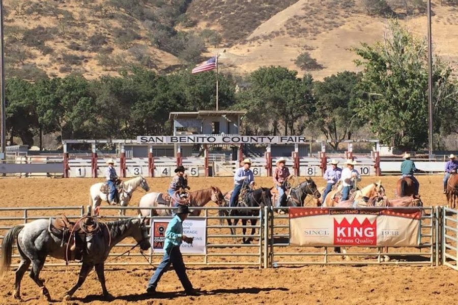 Bolado Park - Horse Show at the San Benito County Fair